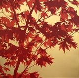April Acer by Mary, Artist Print