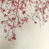 Mono No Aware by Mary, Artist Print