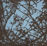 'Shift' by Mary Stephens, Artist Print